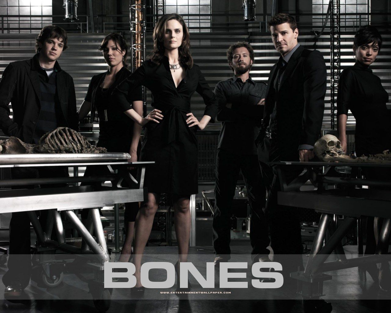 Bones Tv Show Wallpapers