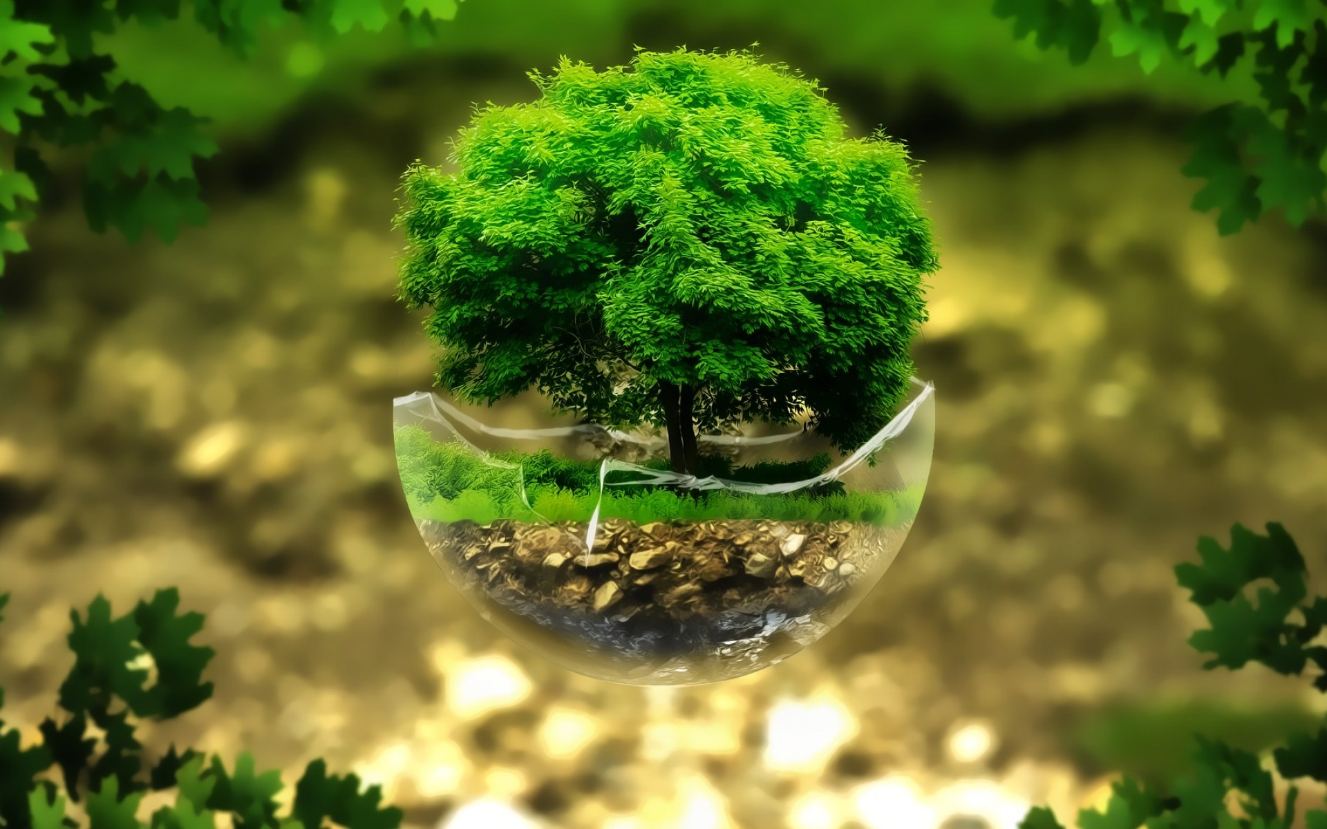 Bonsai Background