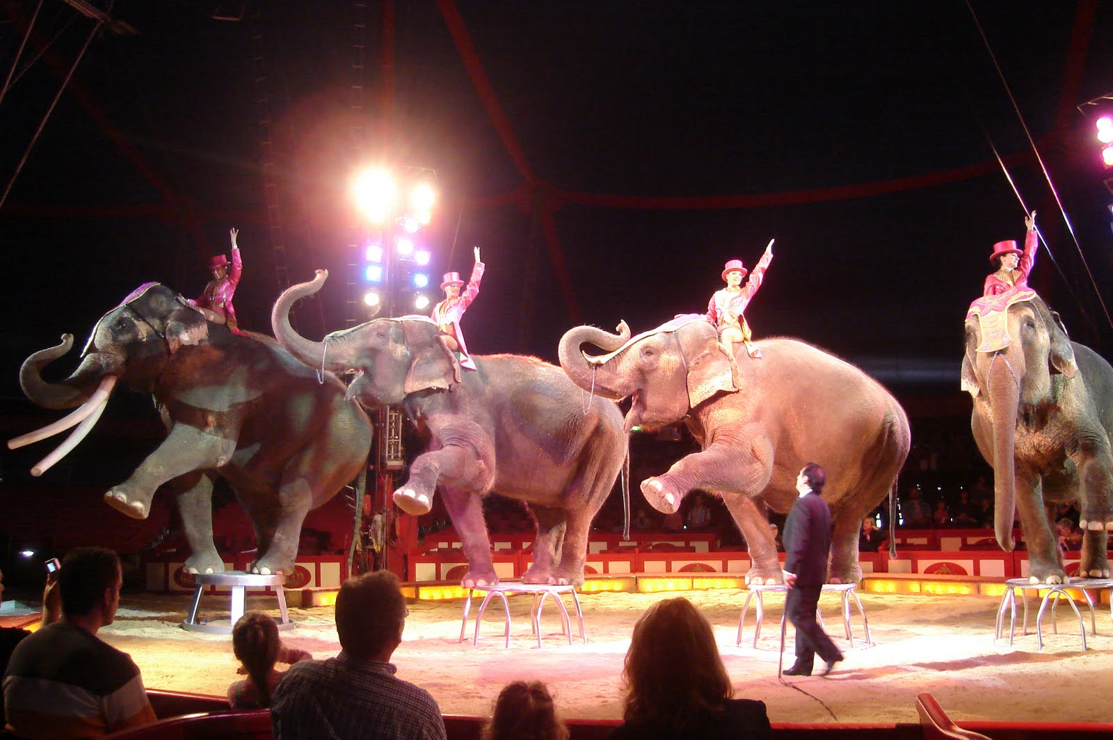 Book Of Circus Wallpapers