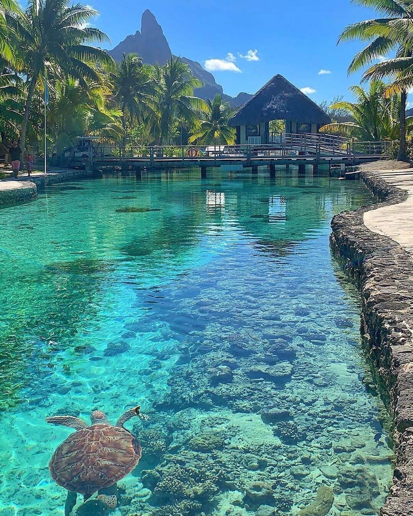 Bora Bora Iphone Hd Wallpapers