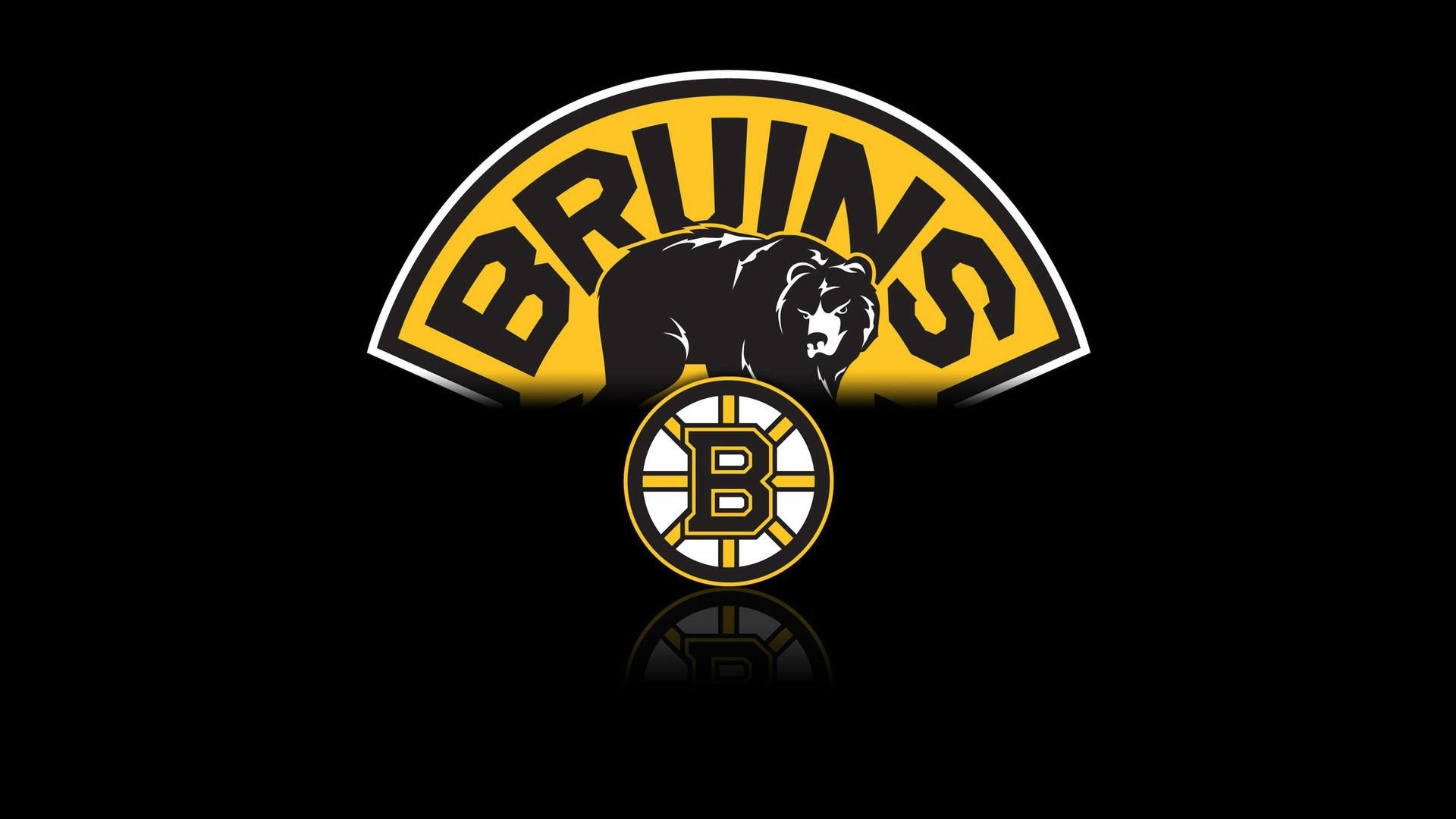 Boston Bruins Iphone Wallpapers