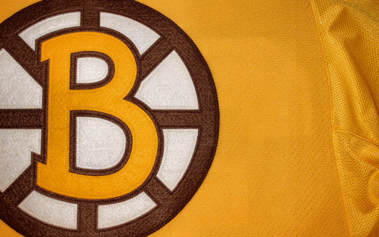 Boston Bruins Zoom Background
