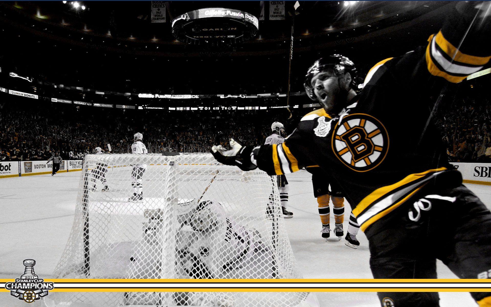 Boston Bruins Zoom Background