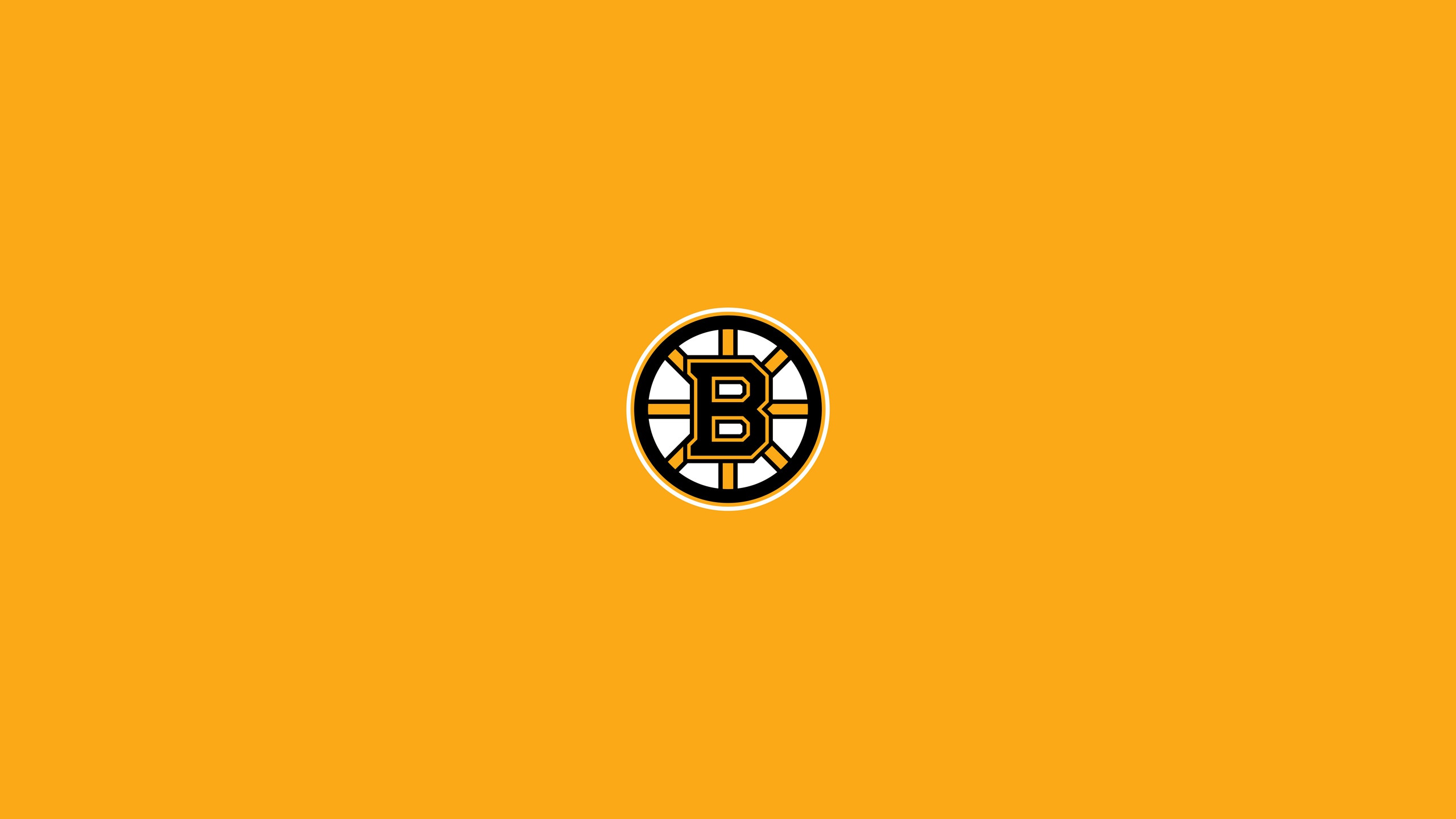 Boston Bruins Zoom Background