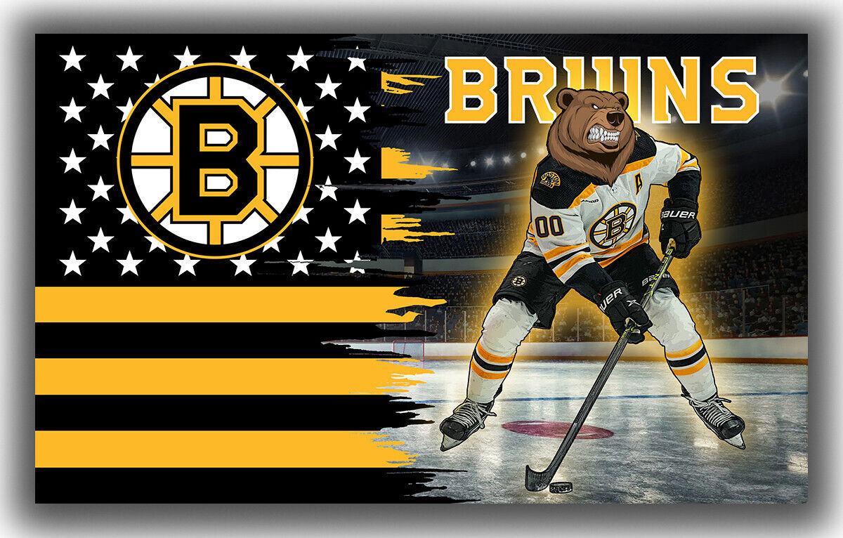 Boston Bruins Zoom Background