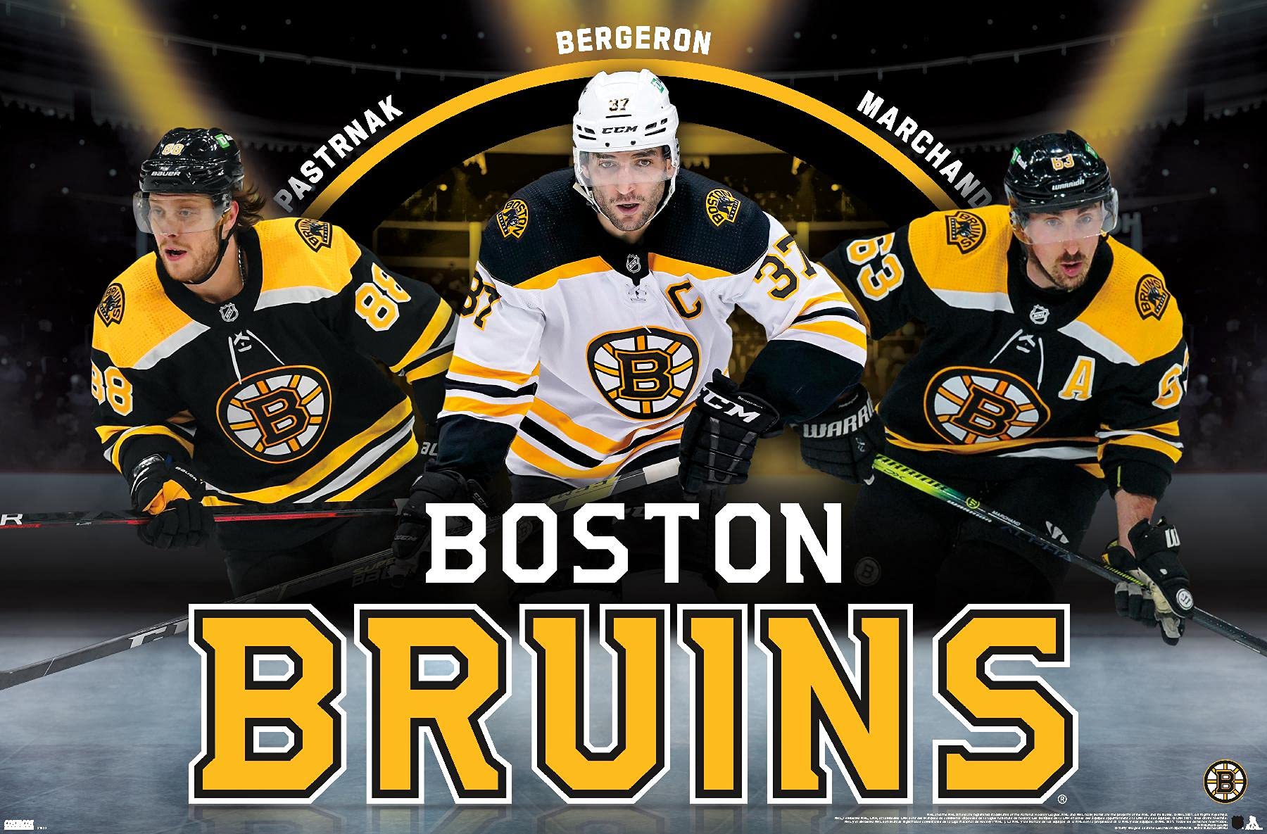 Boston Bruins Zoom Background - Most Popular Boston Bruins Zoom ...