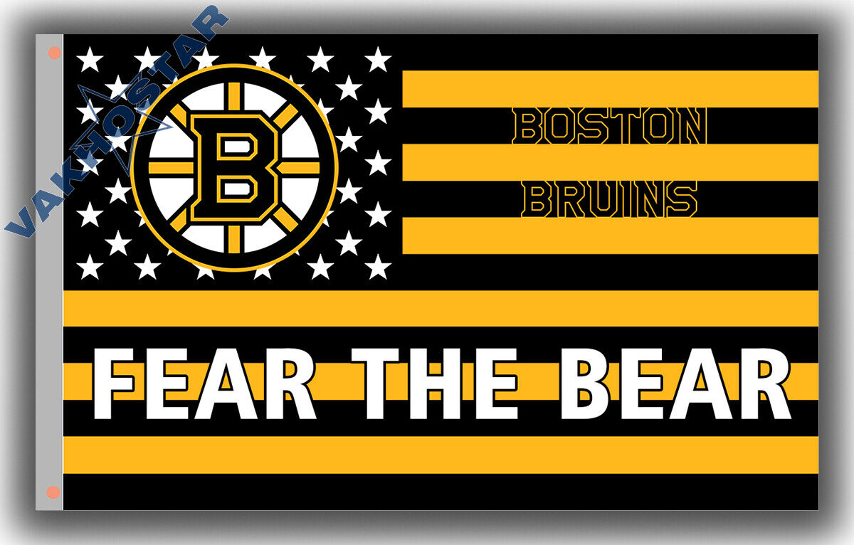 Boston Bruins Zoom Background