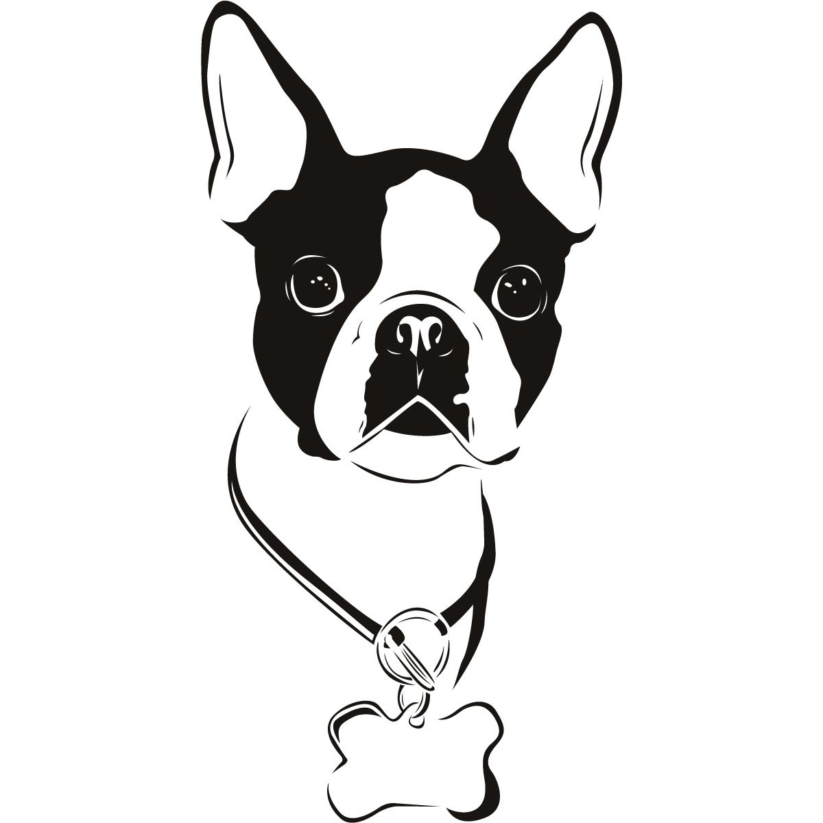 Boston Terrier Wallpapers