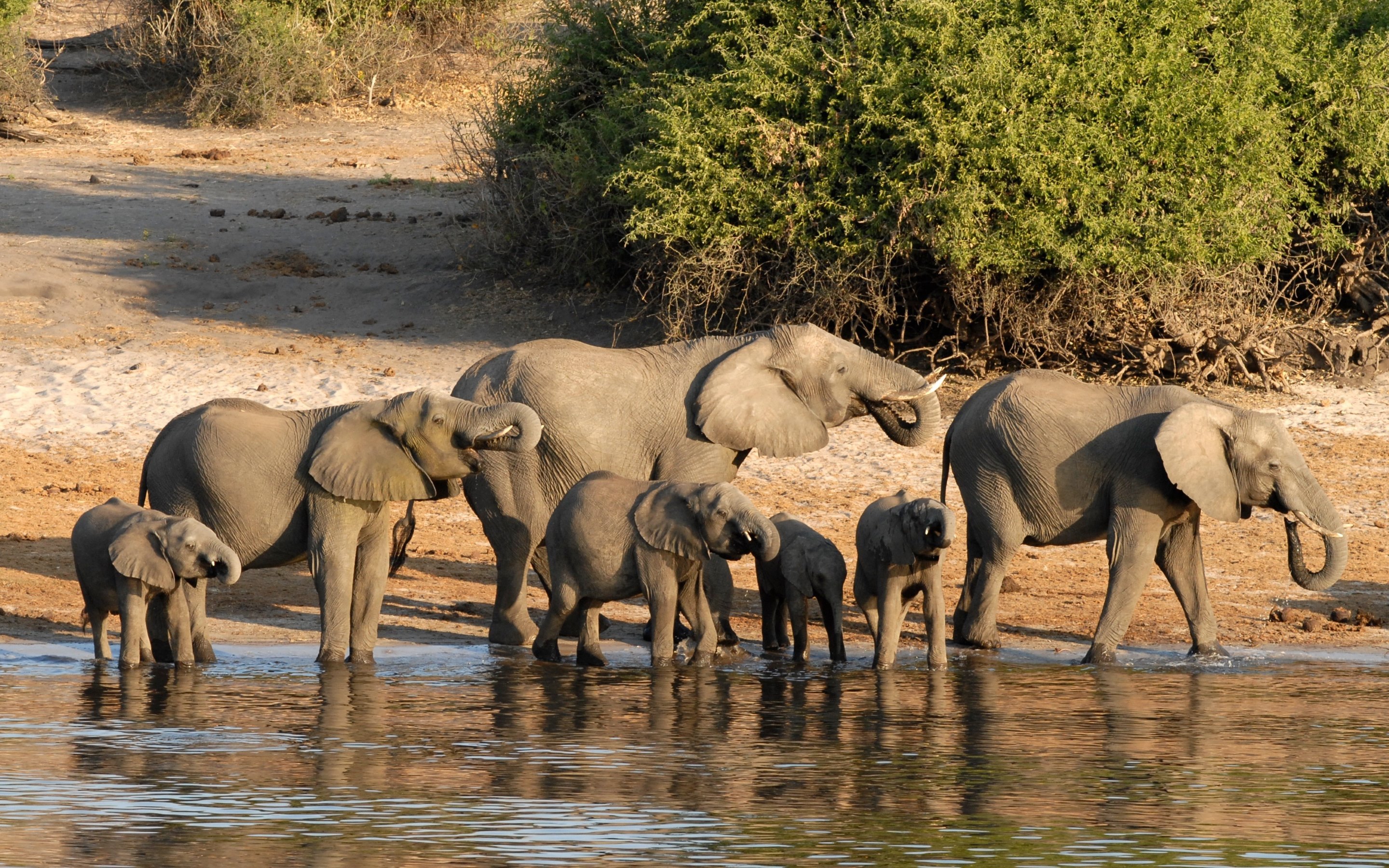 Botswana Wallpapers