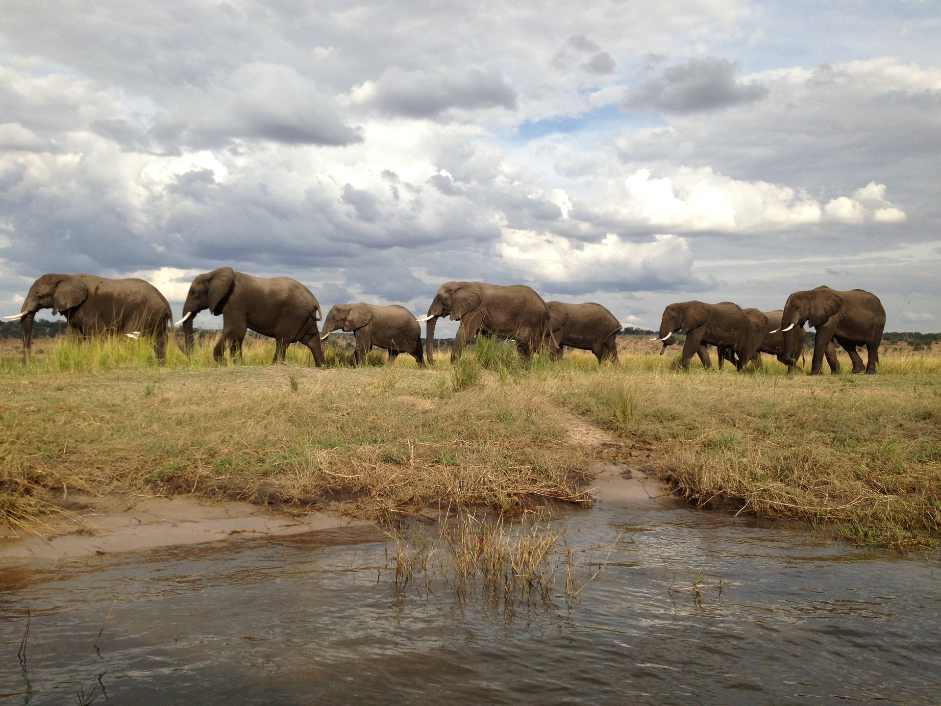 Botswana Wallpapers