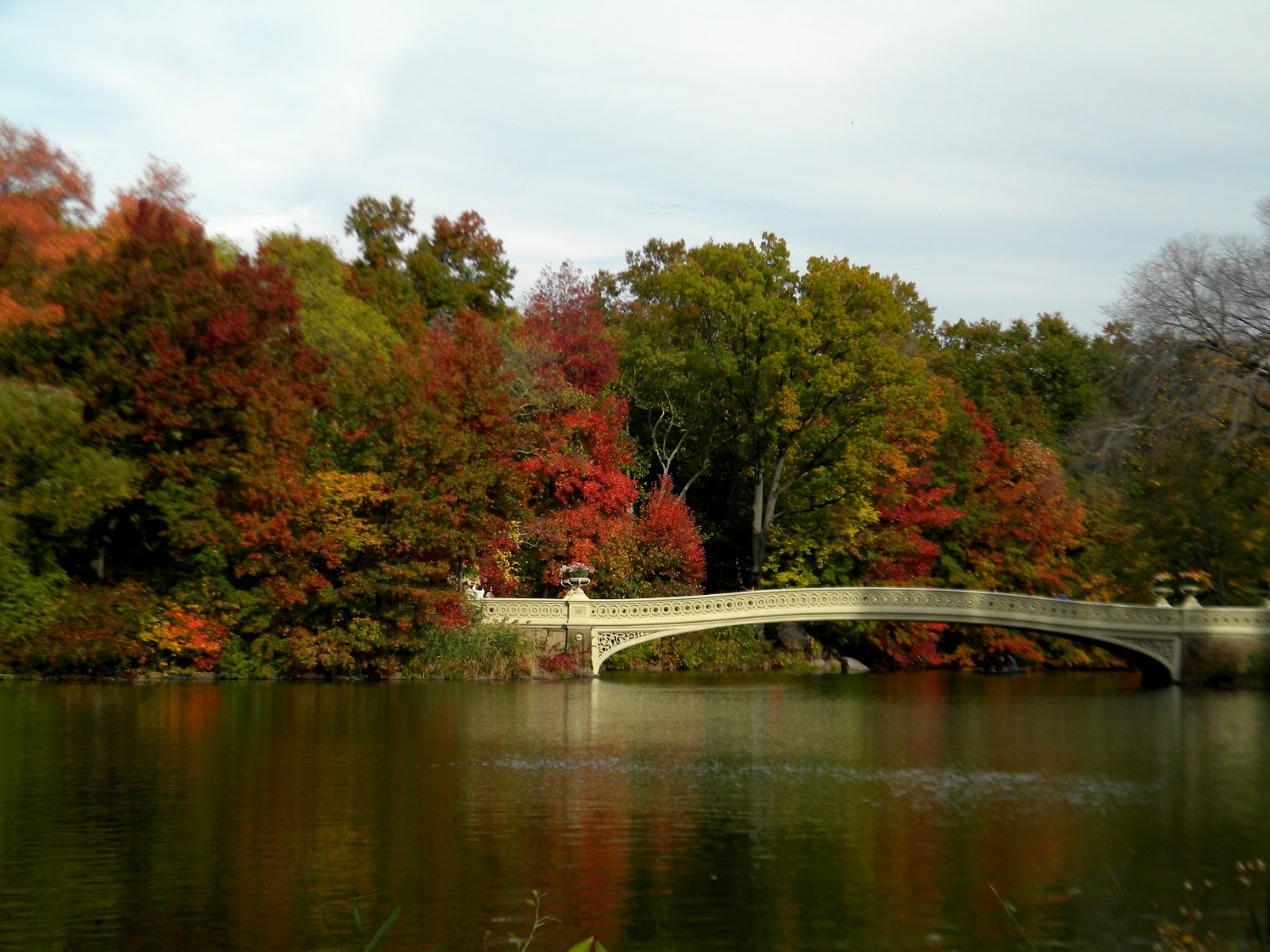 Bow Bridge Wallpapers