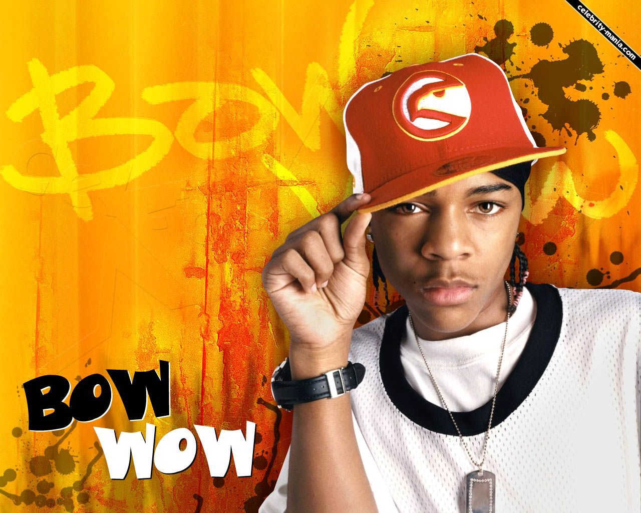 Bow Wow Wall Paper Wallpapers