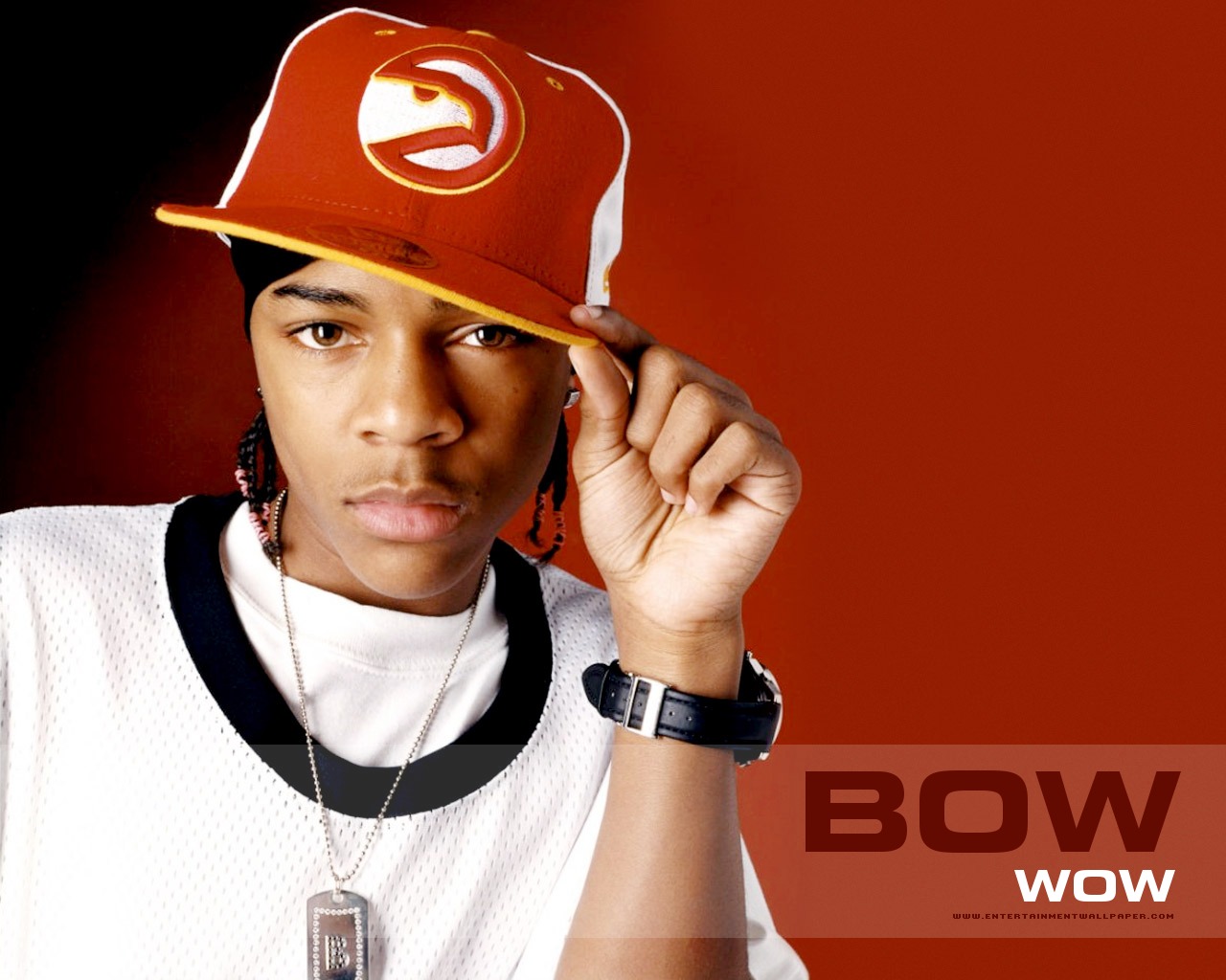 Bow Wow Wall Paper Wallpapers