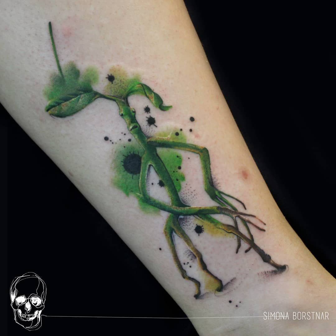 Bowtruckle Tattoo Wallpapers