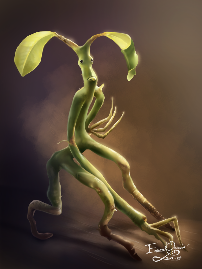 Bowtruckle Tattoo Wallpapers