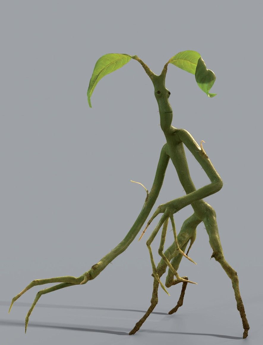 Bowtruckle Tattoo Wallpapers