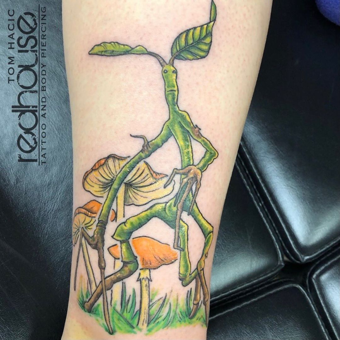 Bowtruckle Tattoo Wallpapers