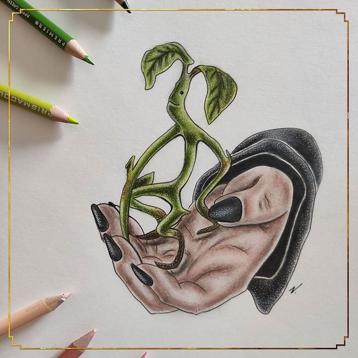 Bowtruckle Tattoo Wallpapers