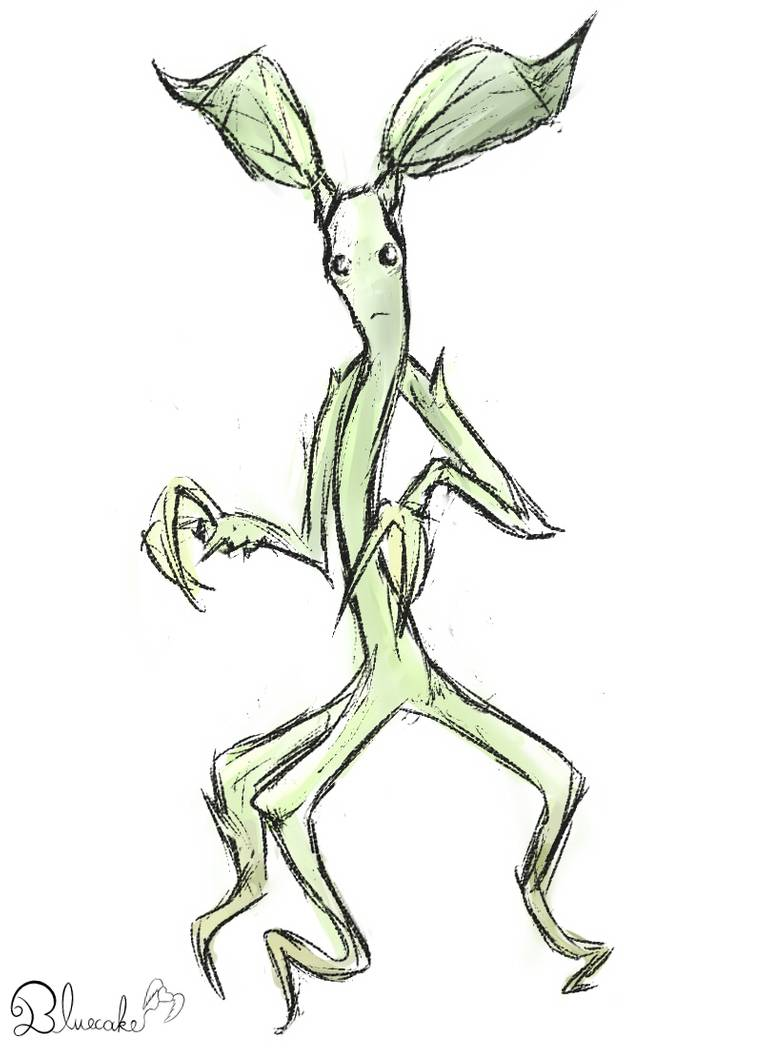 Bowtruckle Tattoo Wallpapers