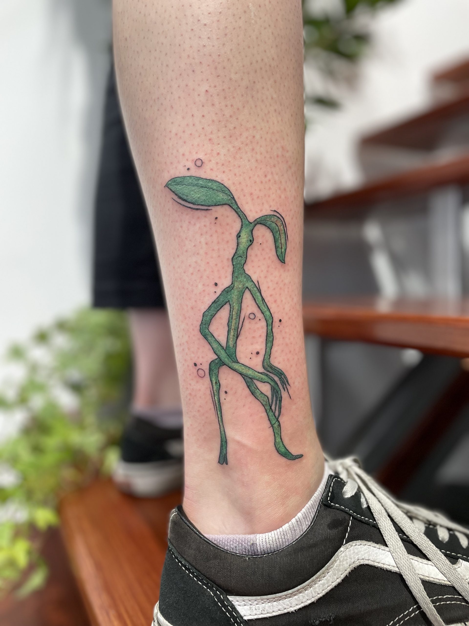 Bowtruckle Tattoo Wallpapers