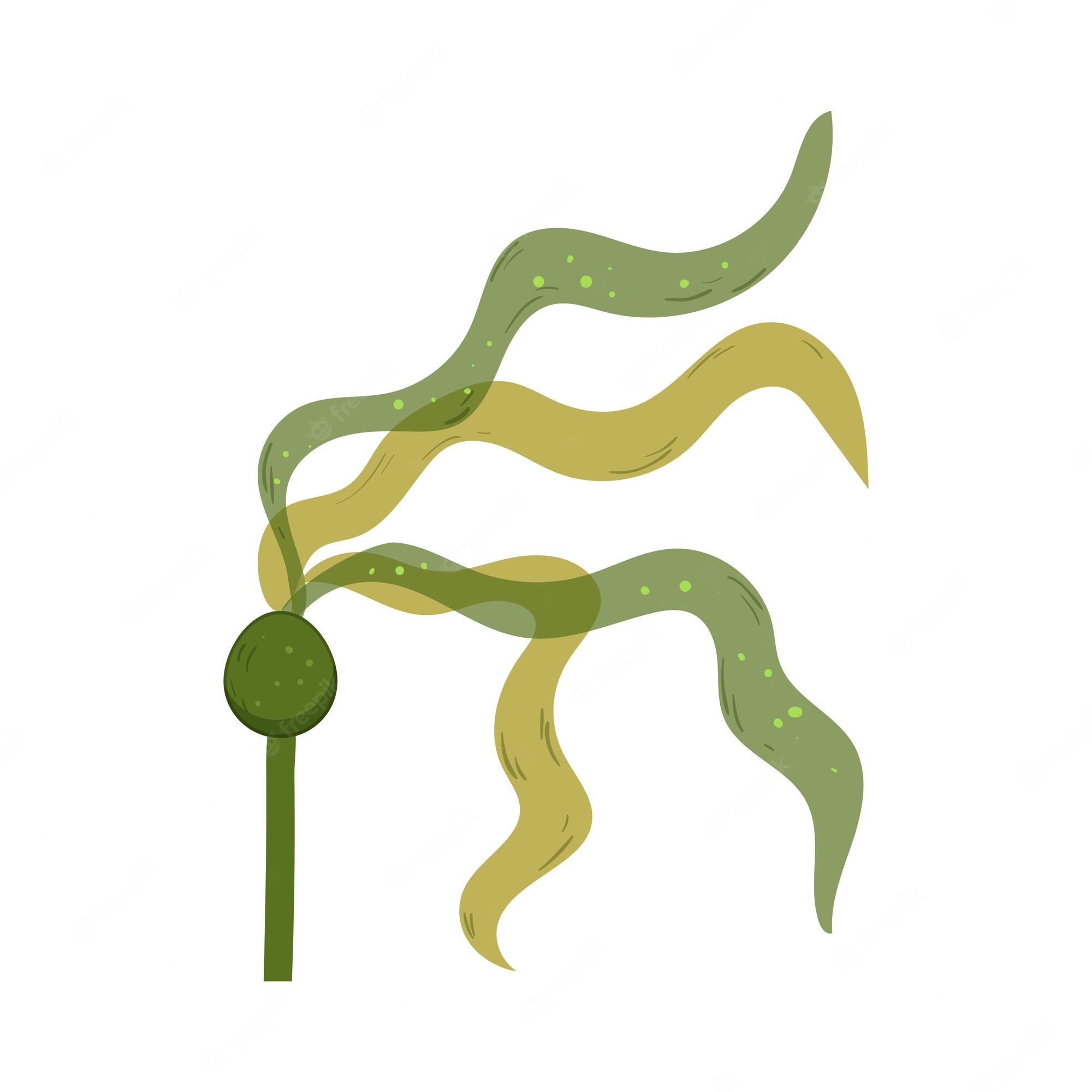 Bowtruckle Tattoo Wallpapers