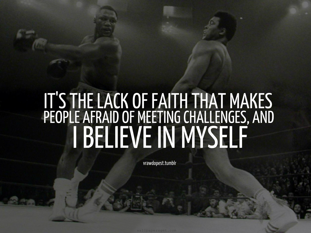 Boxing Quotes Wallpapers