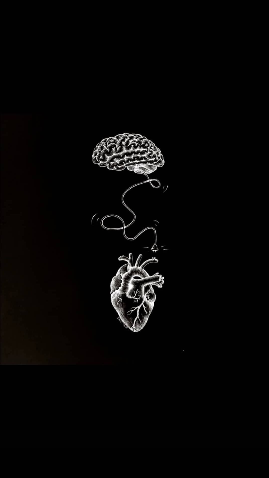 Brain And Heart Images Wallpapers