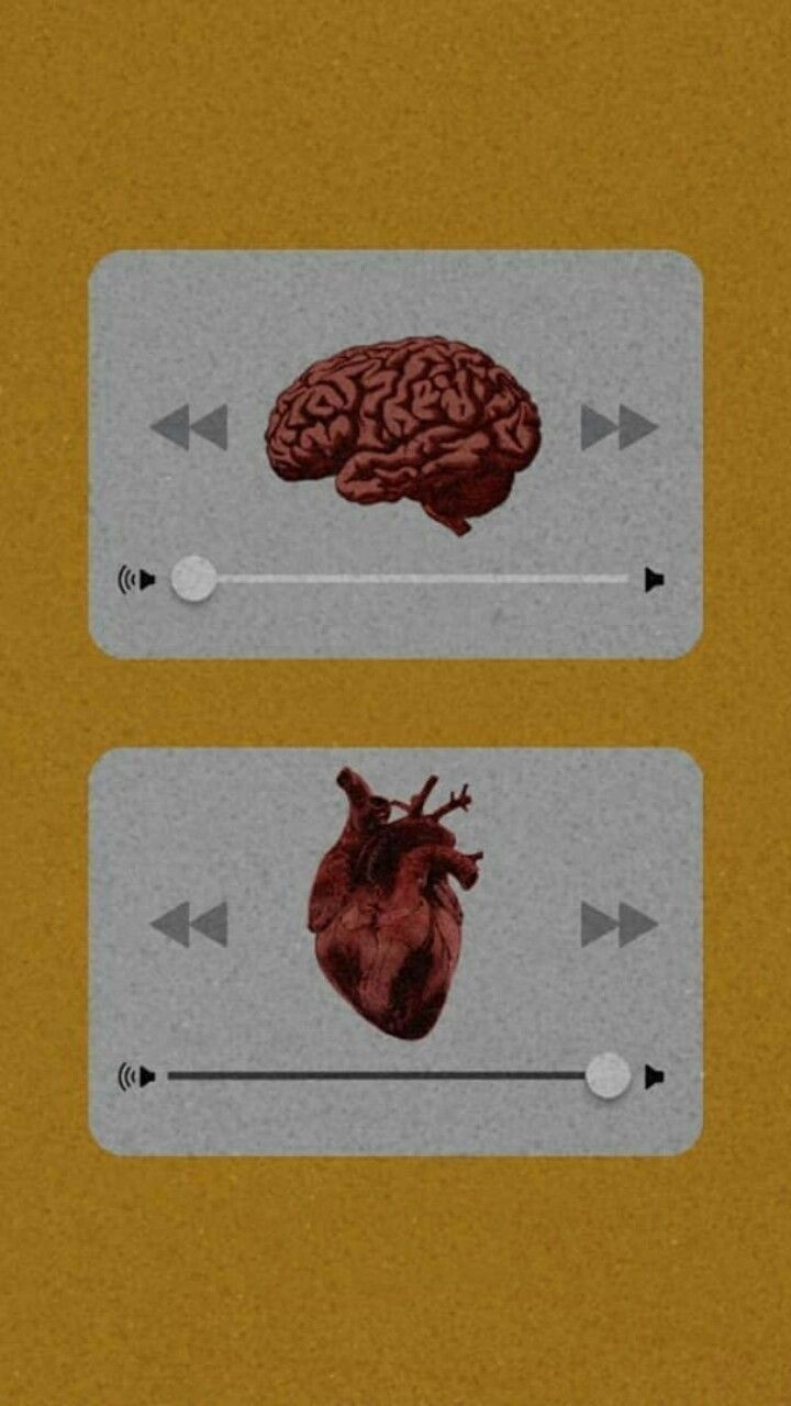 Brain And Heart Images Wallpapers