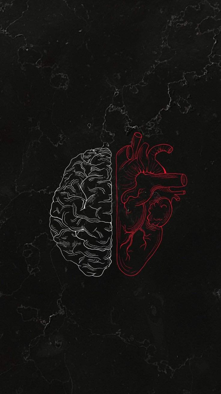 Brain And Heart Images Wallpapers