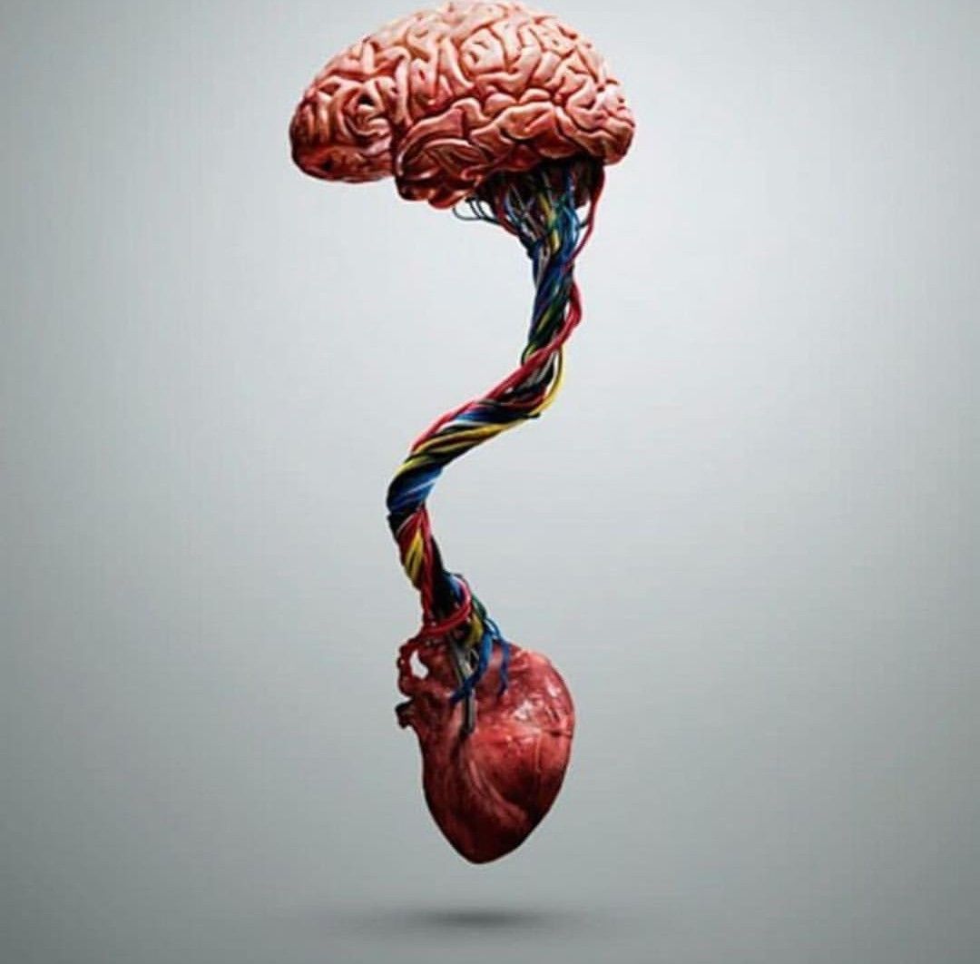 Brain And Heart Images Wallpapers