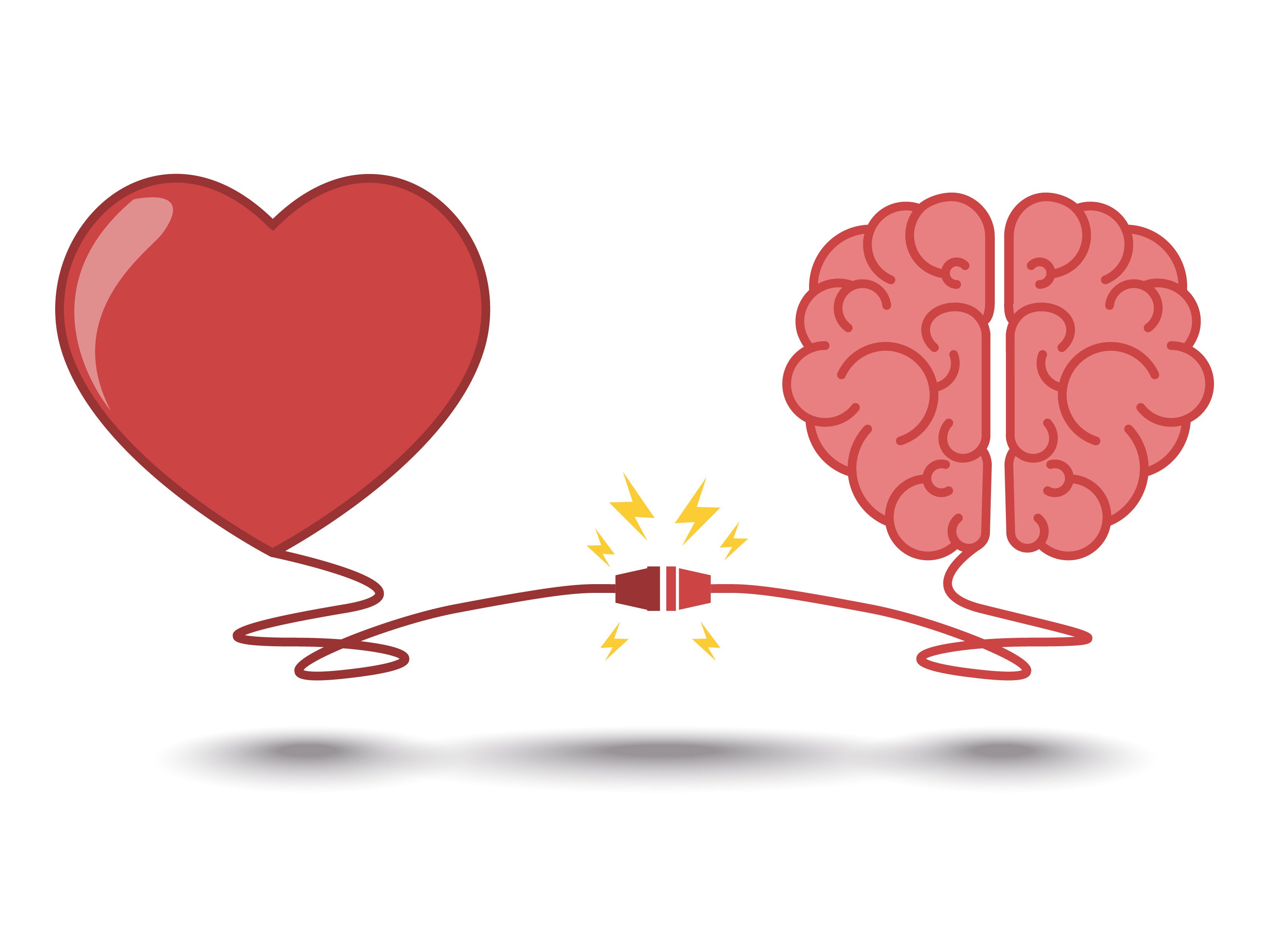 Brain And Heart Images Wallpapers