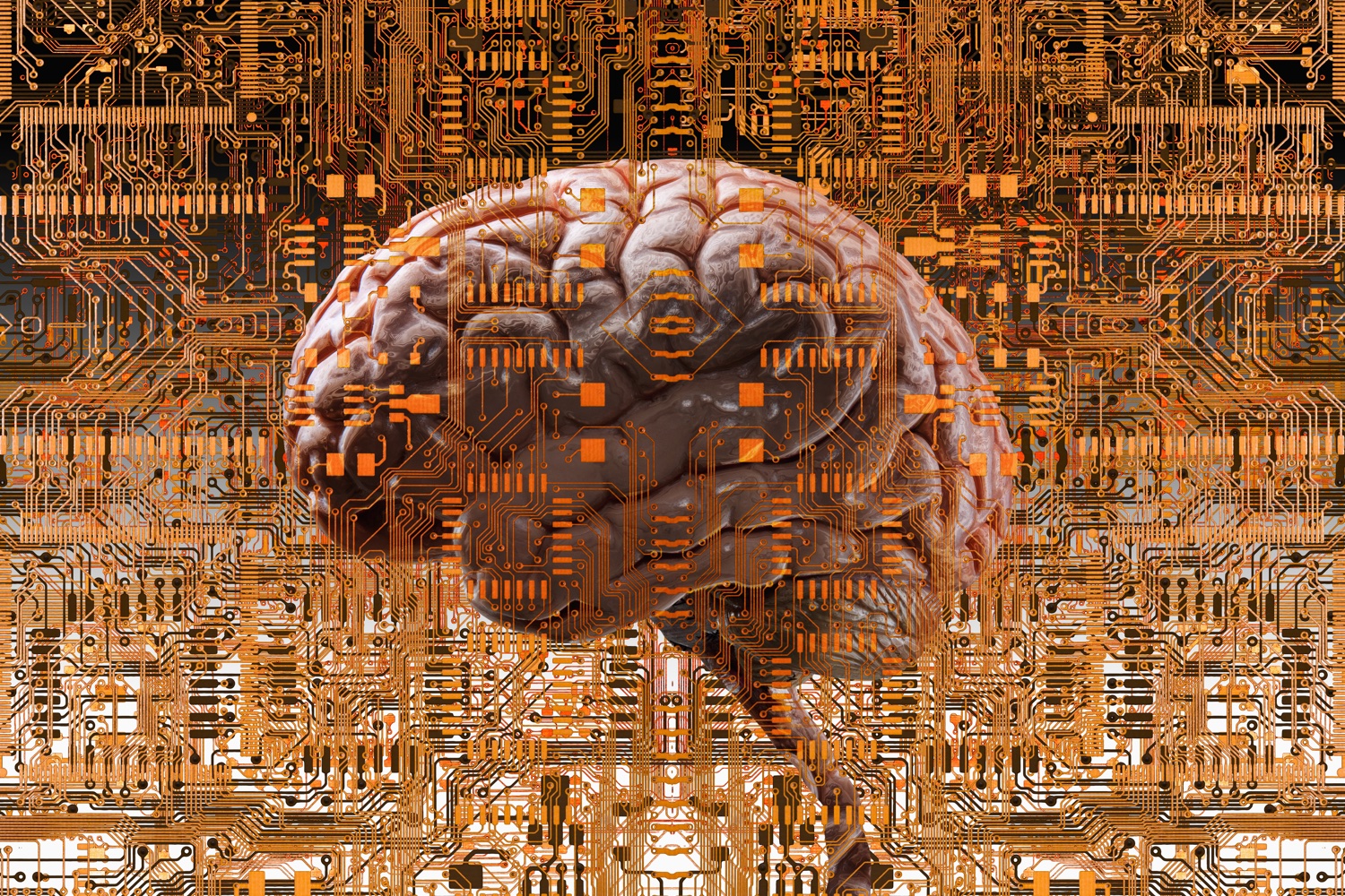 Brain Artificial Intelligence Human Hd Wallpapers