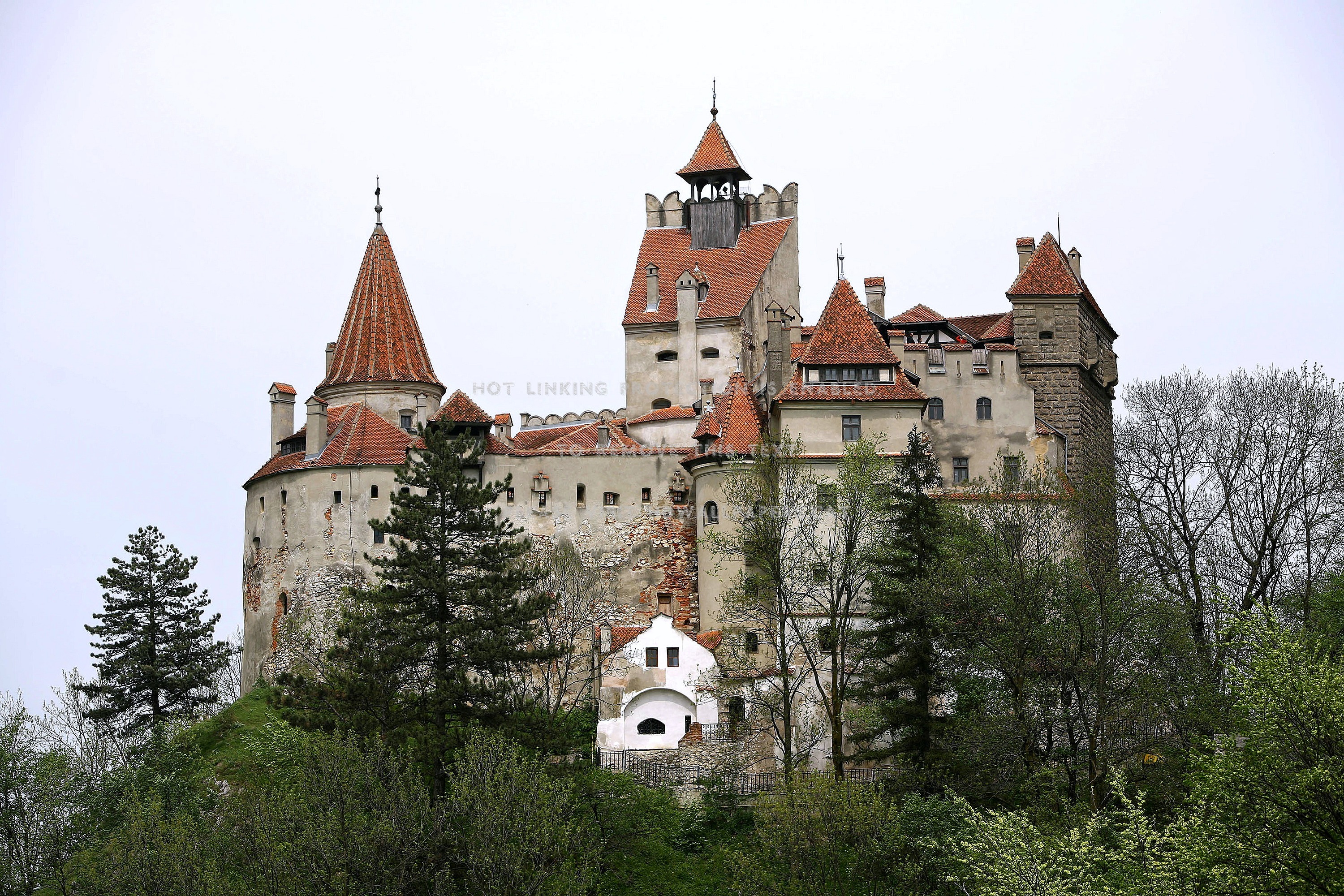 Bran Castle Wallpapers