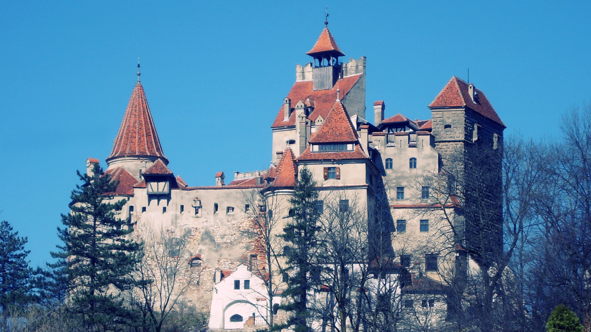 Bran Castle Wallpapers