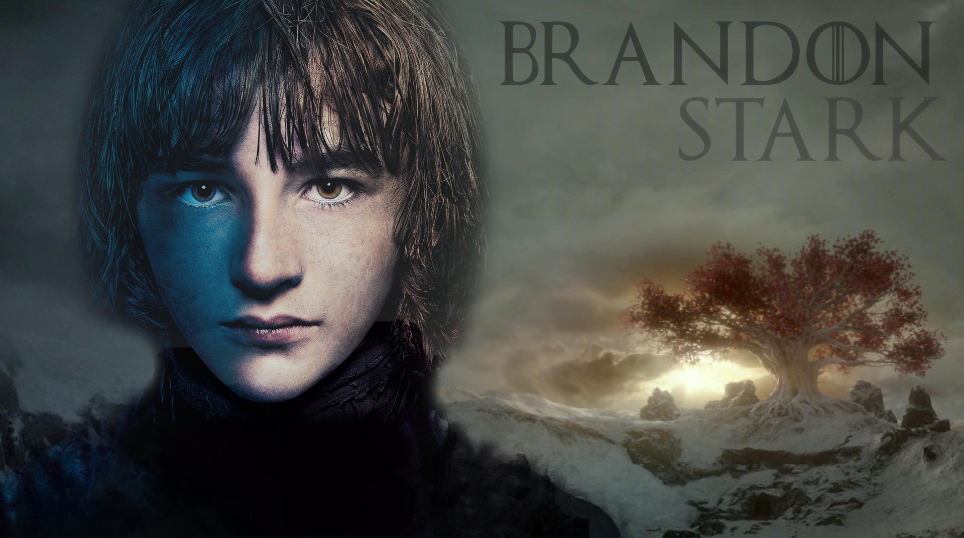 Bran Stark Game Of Thrones 8 Wallpapers