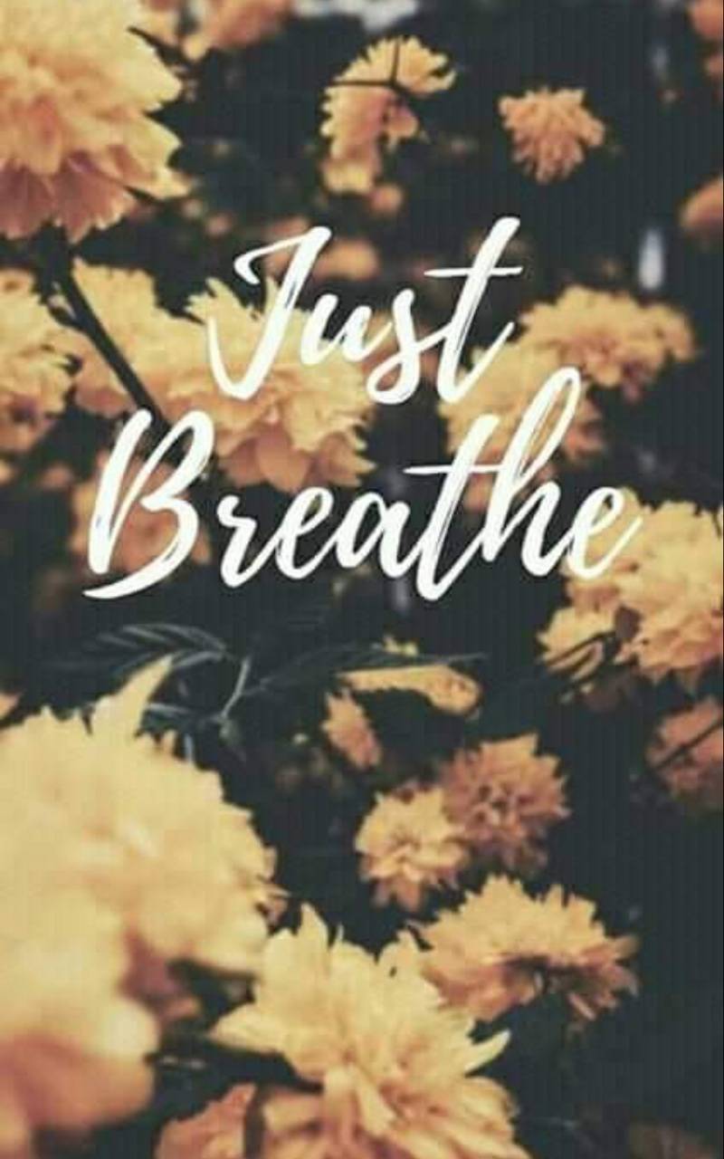 Breathe Iphone Wallpapers