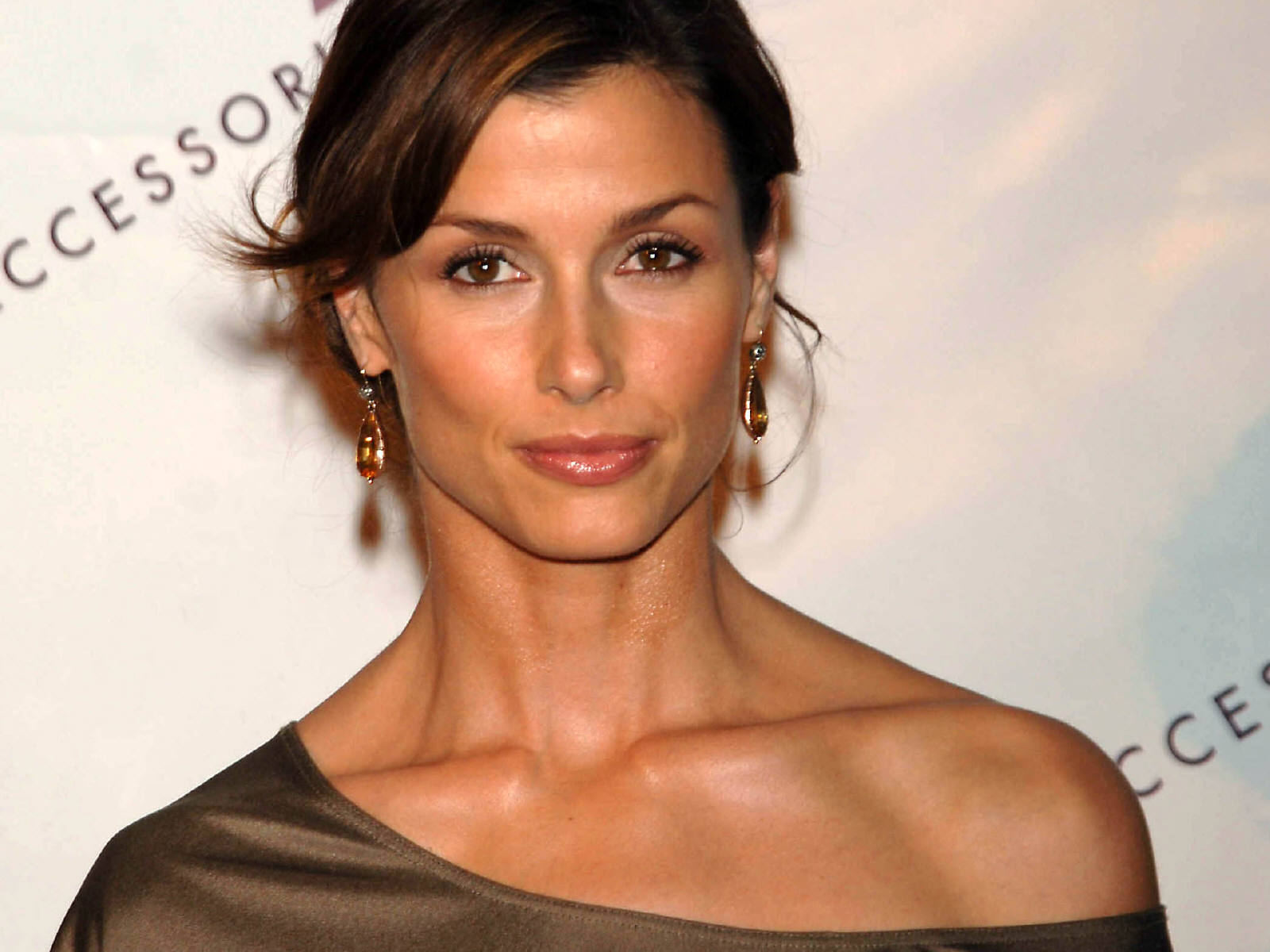 Bridget Moynahan Wallpapers