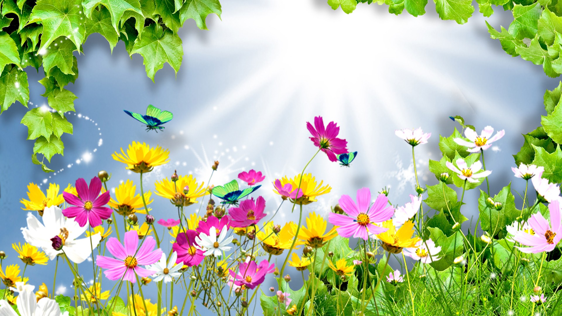 Bright Flowers Wallpapers