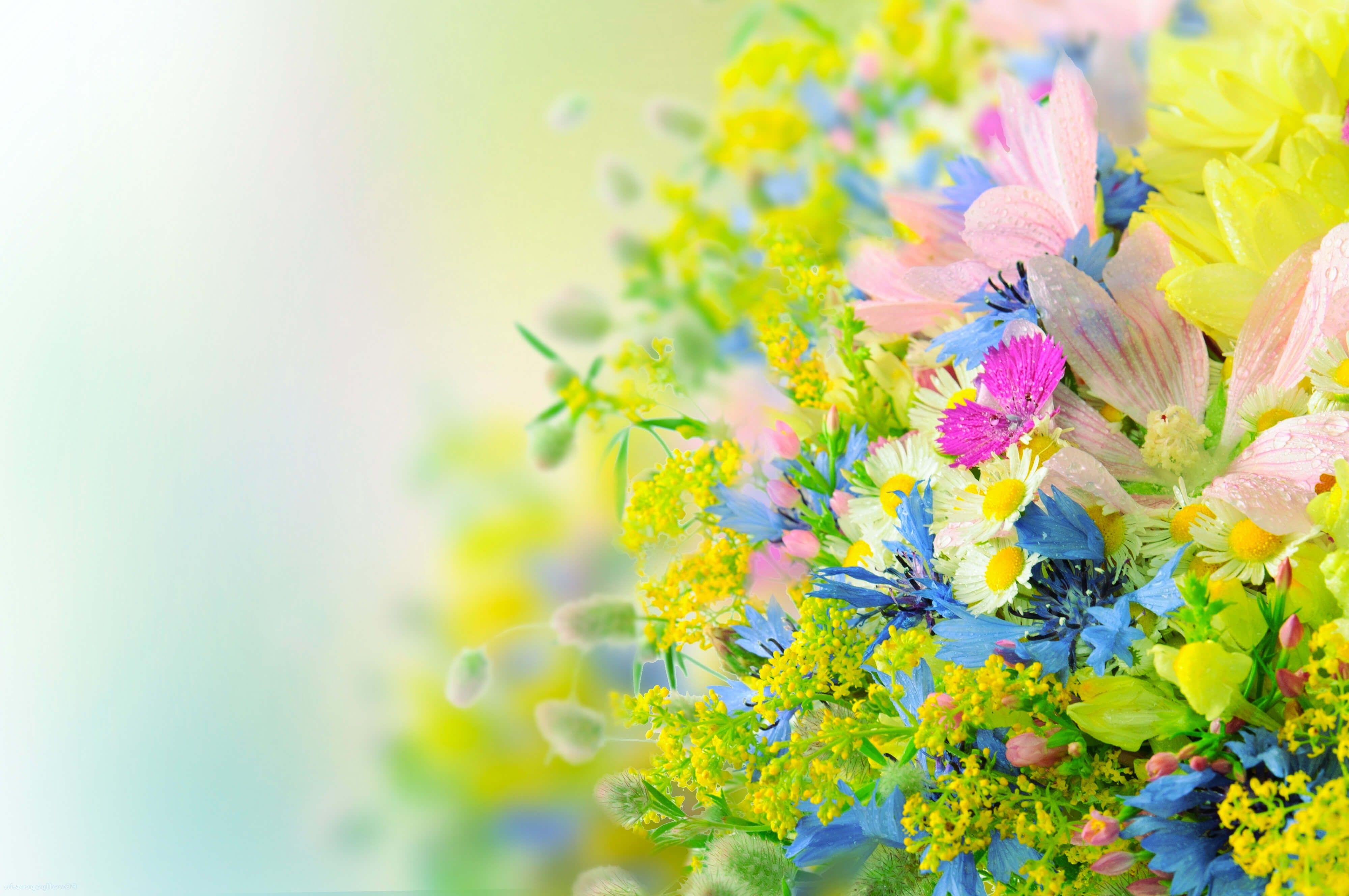 Bright Flowers Wallpapers