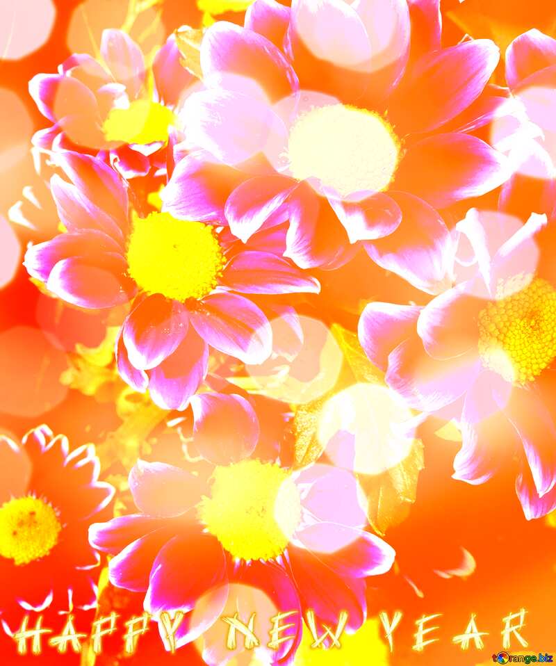 Bright Flowers Wallpapers