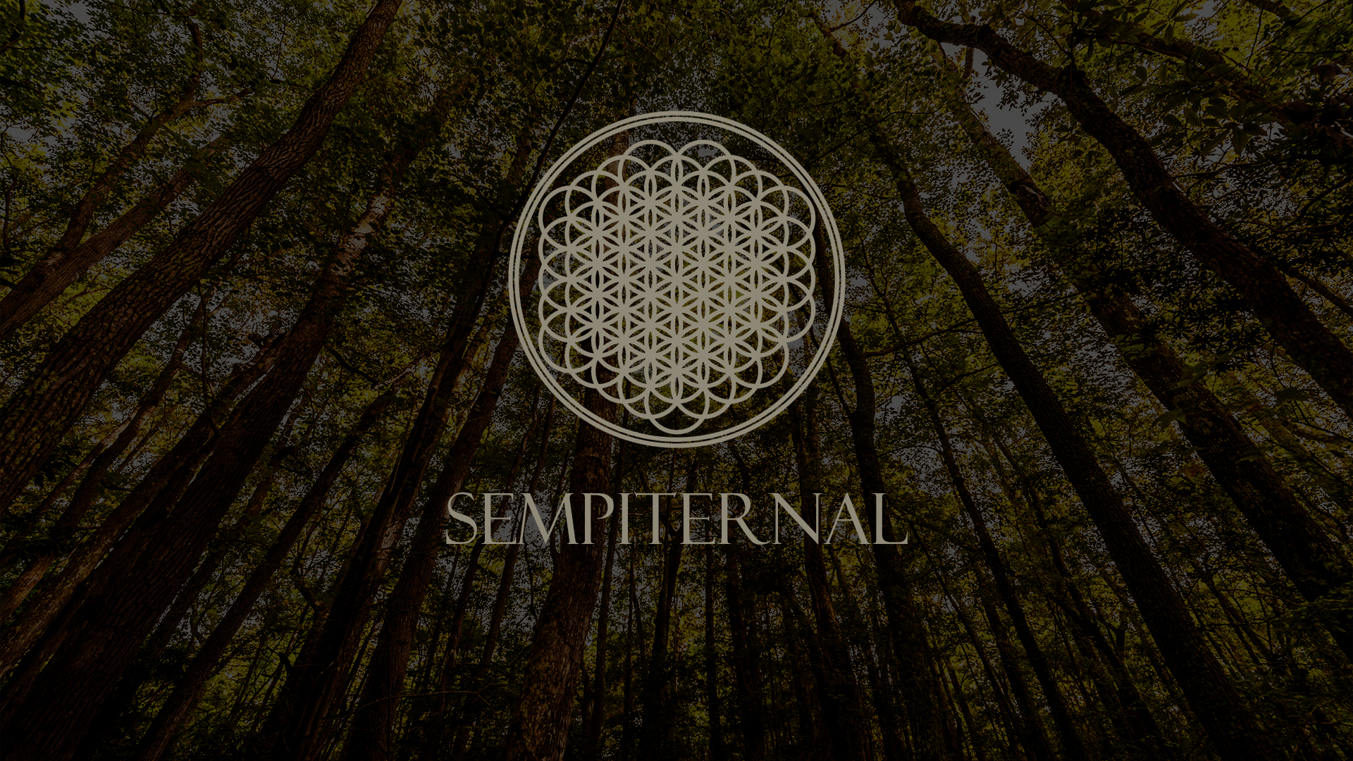 Bring Me The Horizon Wallpapers