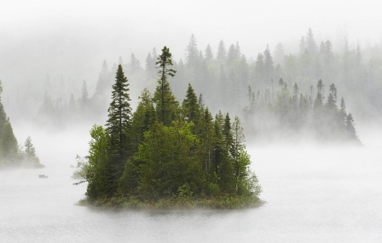 British Columbia Foggy Forest Wallpapers