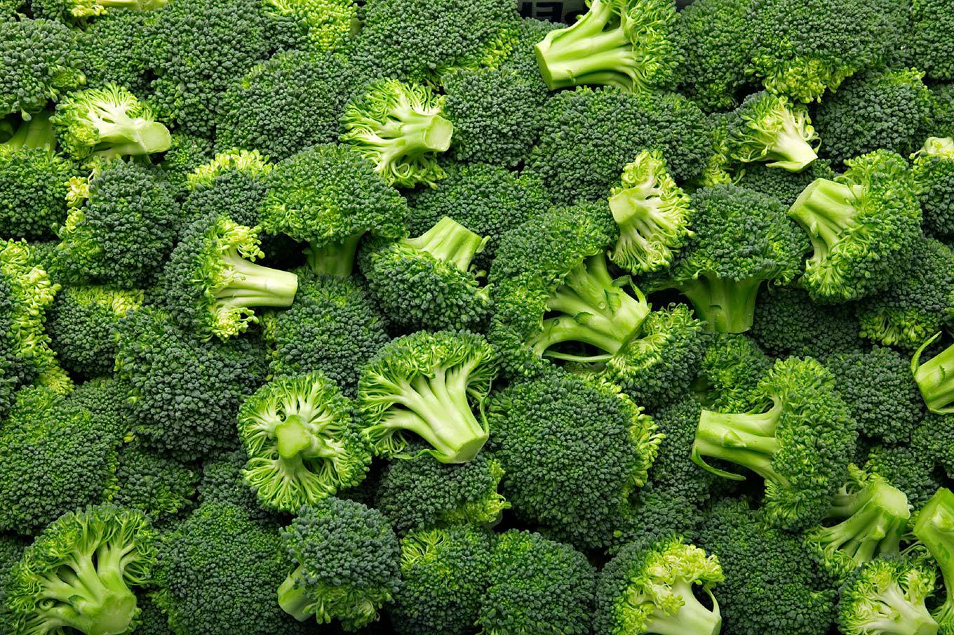 Broccoli Wallpapers