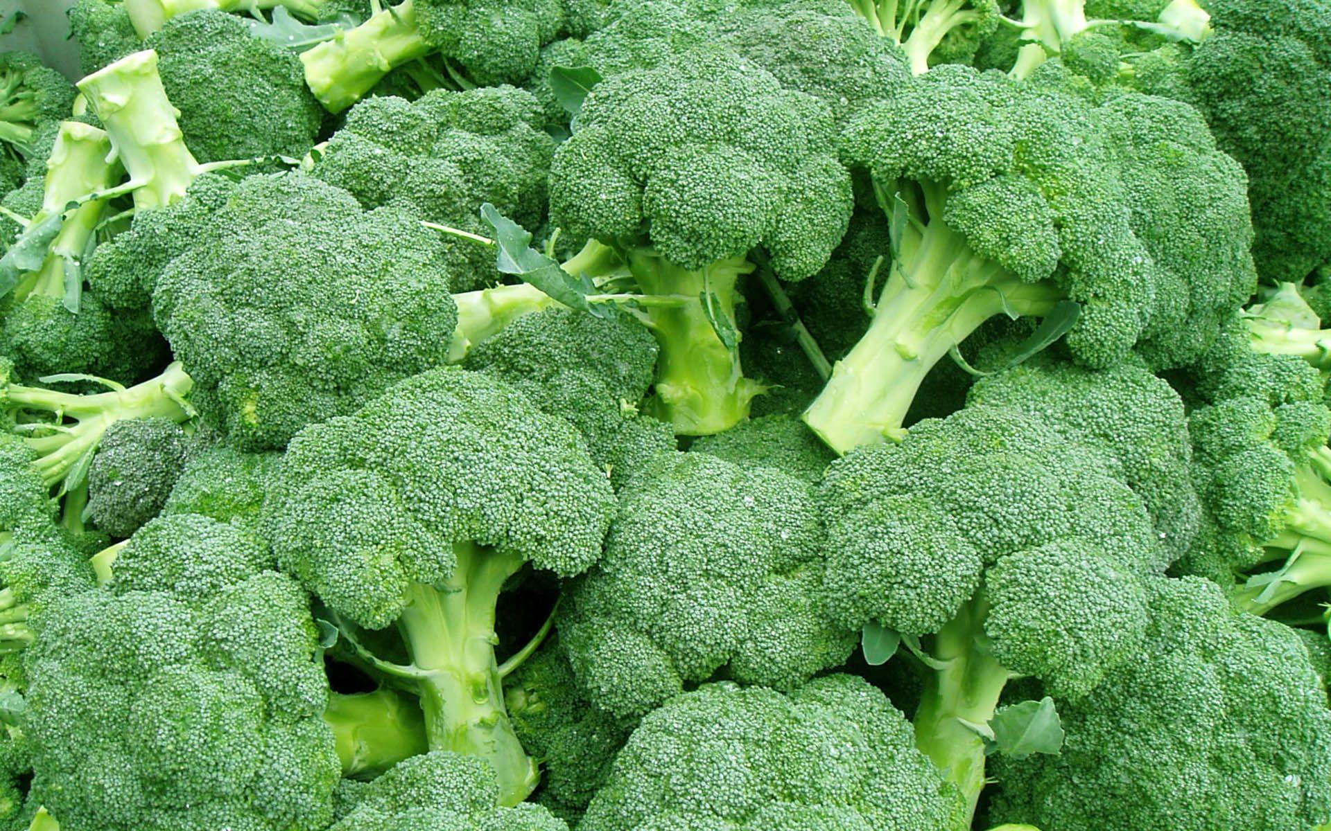 Broccoli Wallpapers