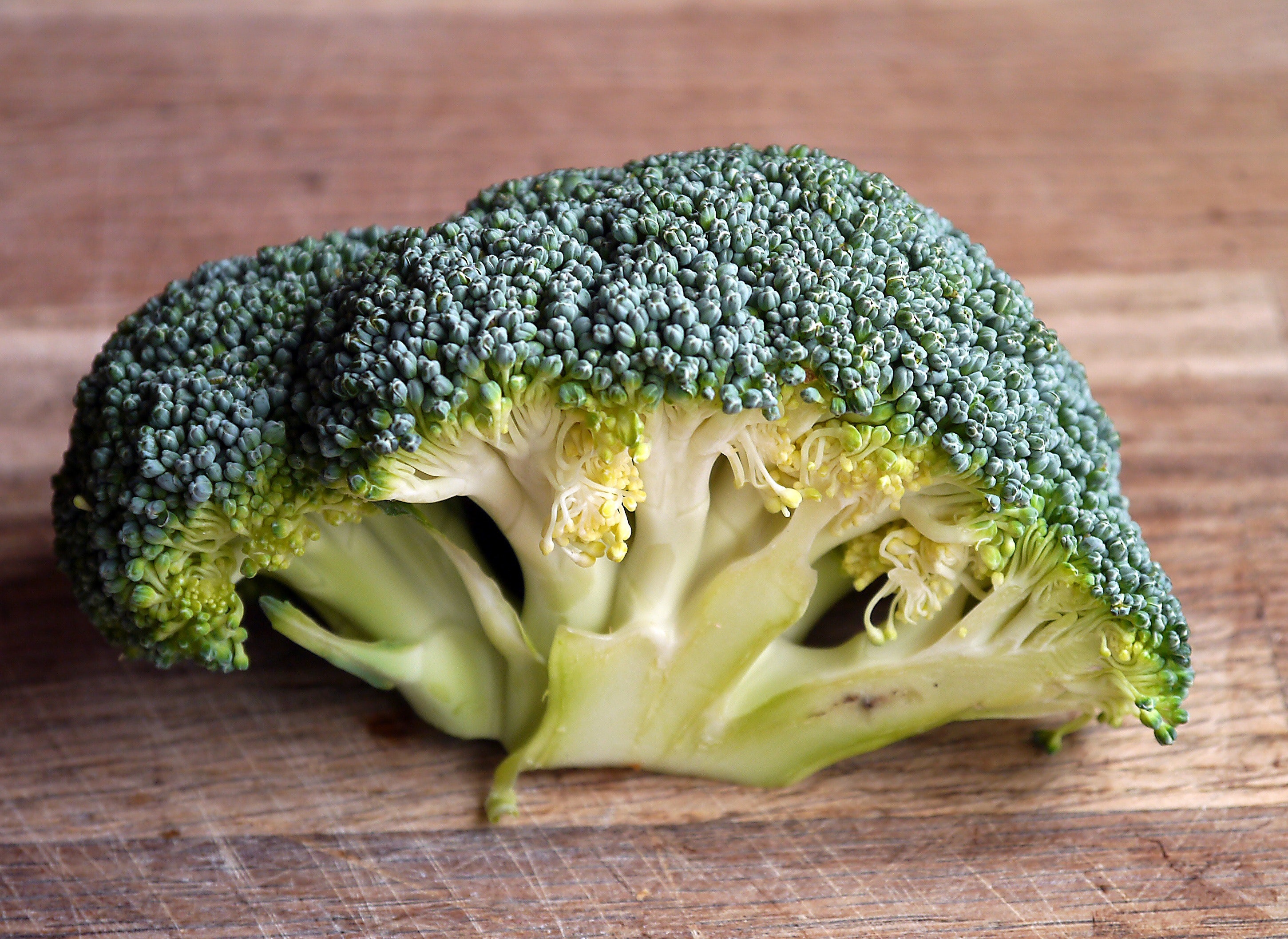 Broccoli Wallpapers