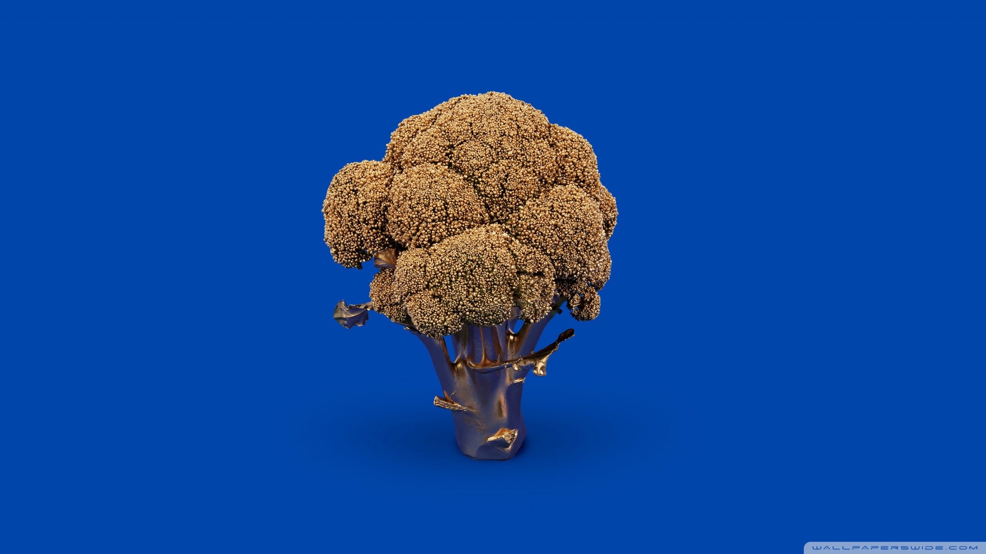 Broccoli Wallpapers