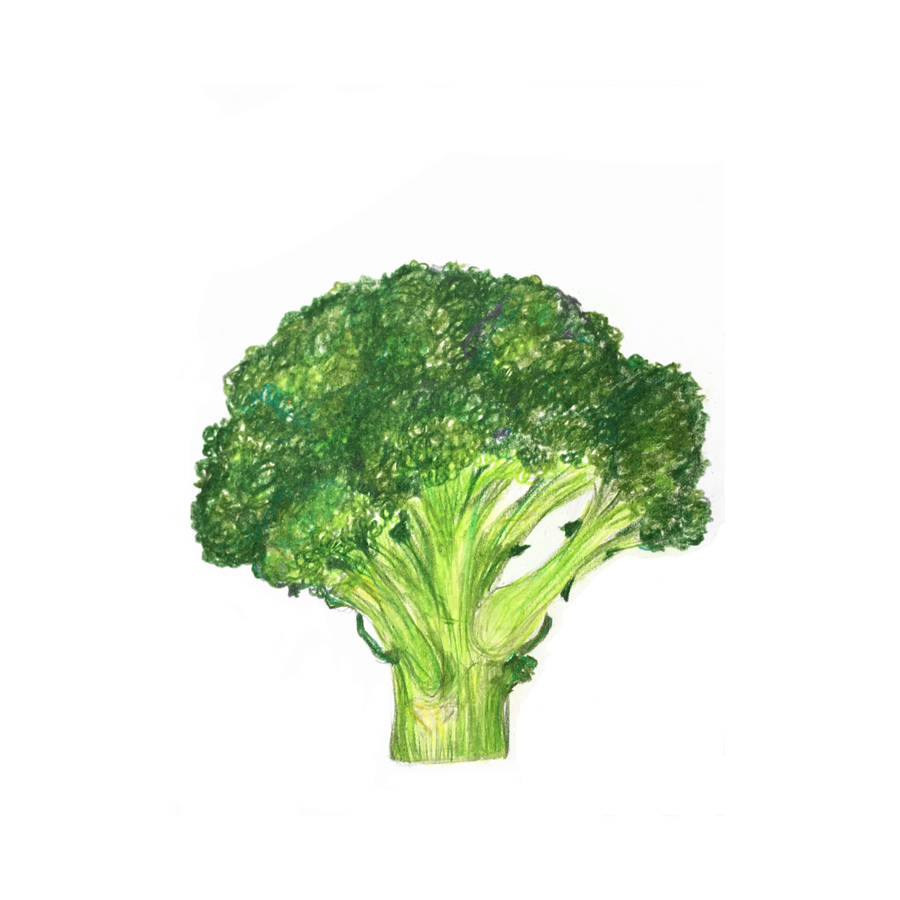 Broccoli Wallpapers