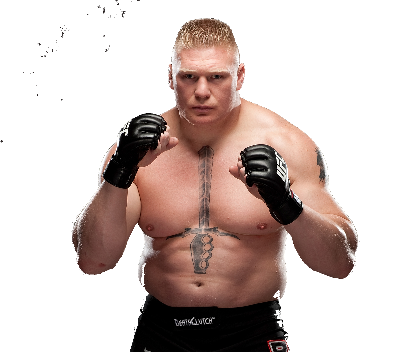 Brock Lesnar Download Wallpapers