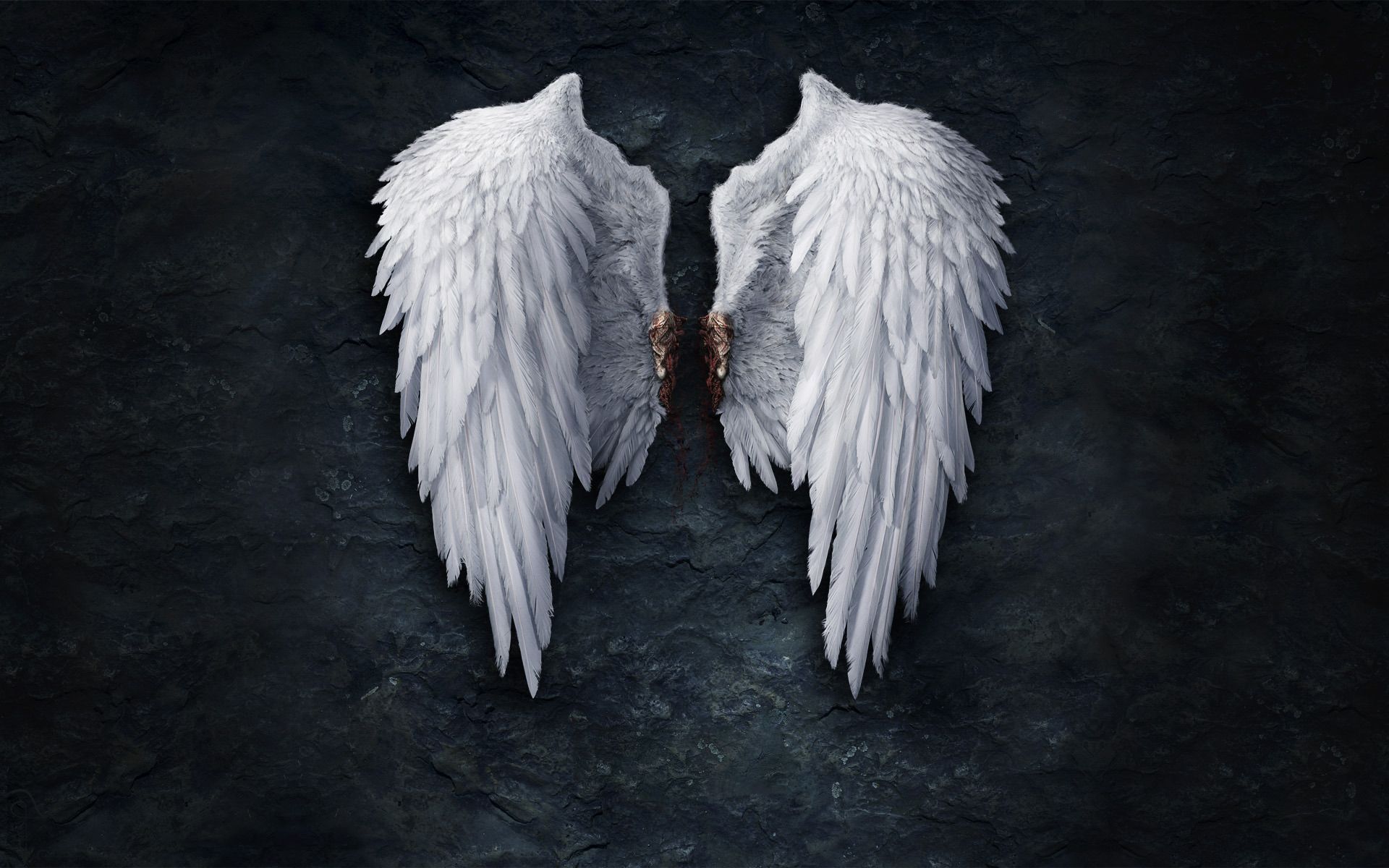 Broken Wings Images Wallpapers