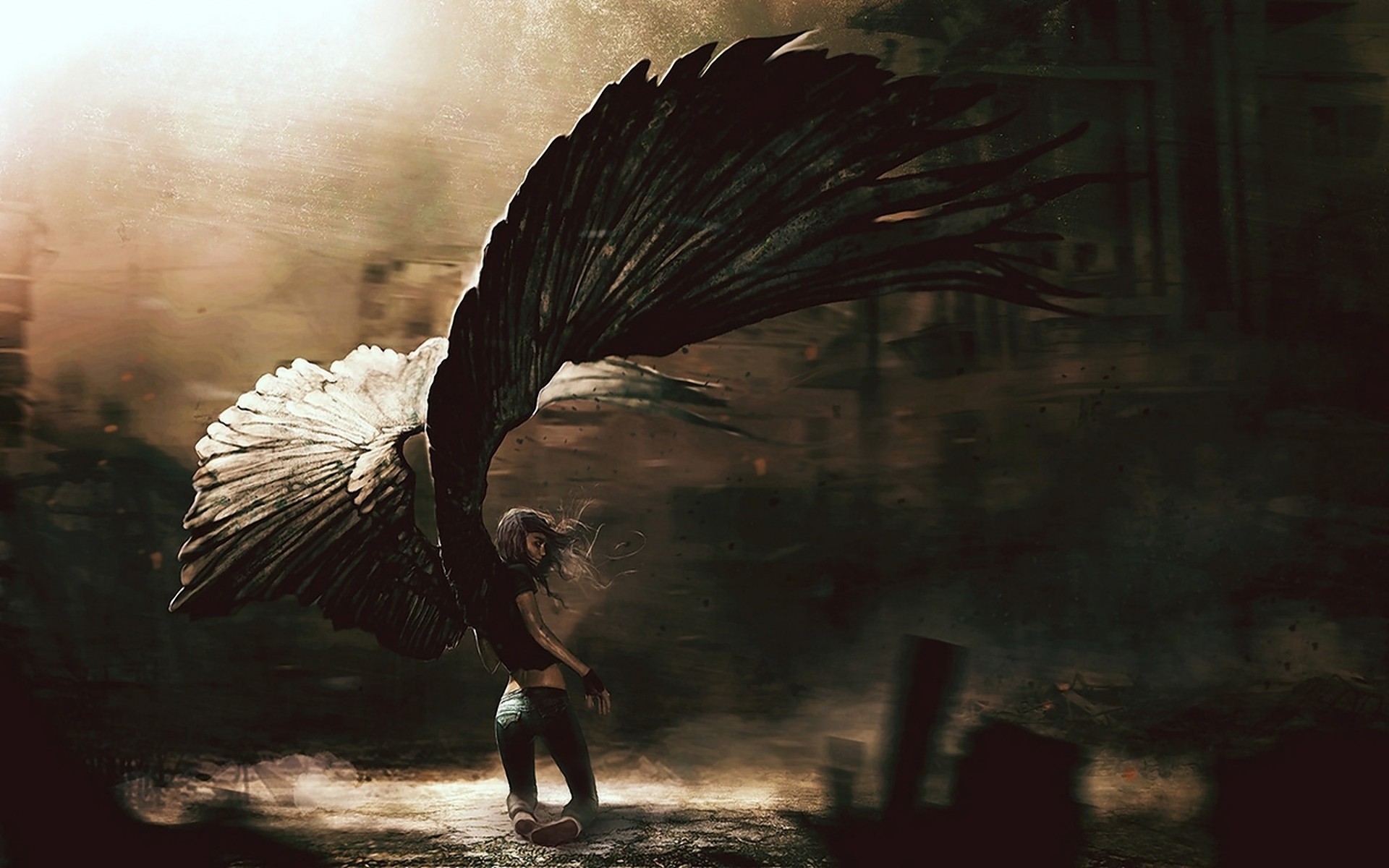 Broken Wings Images Wallpapers